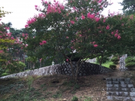 담양선산사진150816